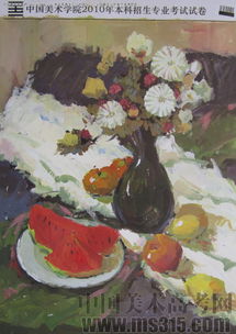 2010年中國(guó)美術(shù)學(xué)院設(shè)計(jì)類建筑色彩優(yōu)秀試卷評(píng)析（試卷13）