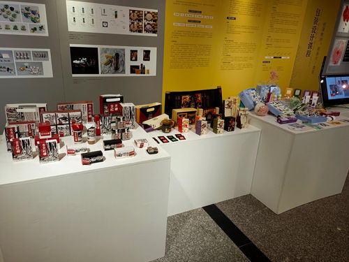 雙高建設(shè)在路上 美術(shù)系首屆金課展淬煉歷年課程精品