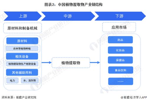 預(yù)見2023 2023年中國植物提取物行業(yè)全景圖譜 附市場(chǎng)規(guī)模 競(jìng)爭格局和發(fā)展前景等